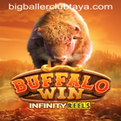 BuffaloWin: The Ultimate Casino Adventure with BigBallerClub